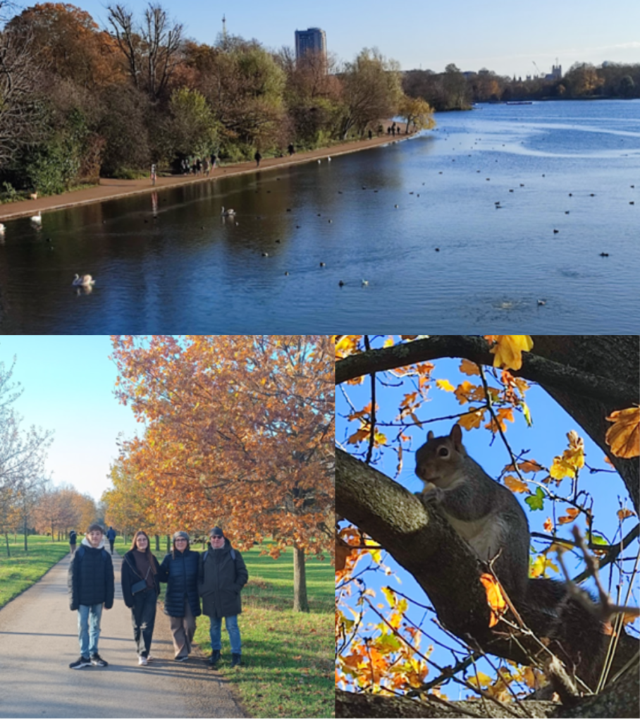 hide park