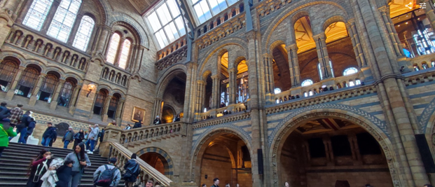 history museum