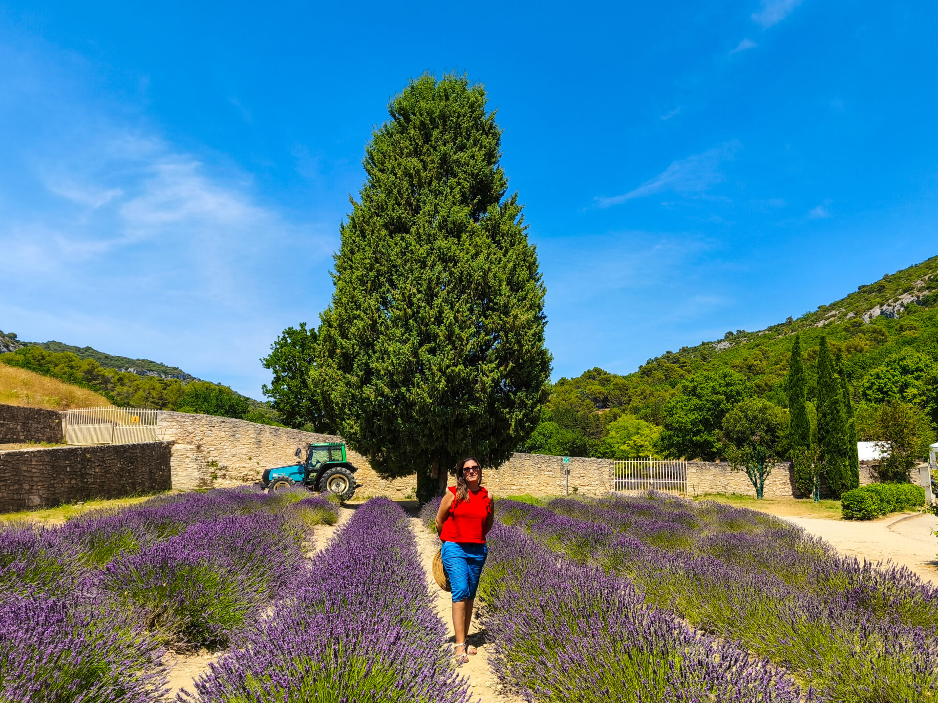 Itinerario di 14 giorni in Provenza e Camargue