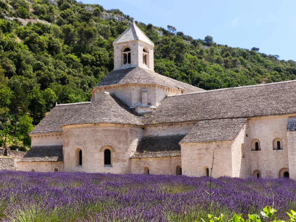 itinerario Provenza 14 giorni - Abazia di Senanque