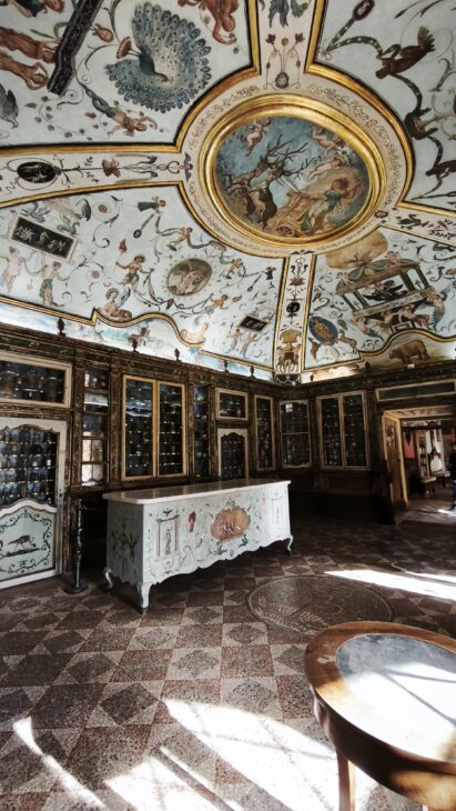 farmacia 700 Certosa di Trisulti