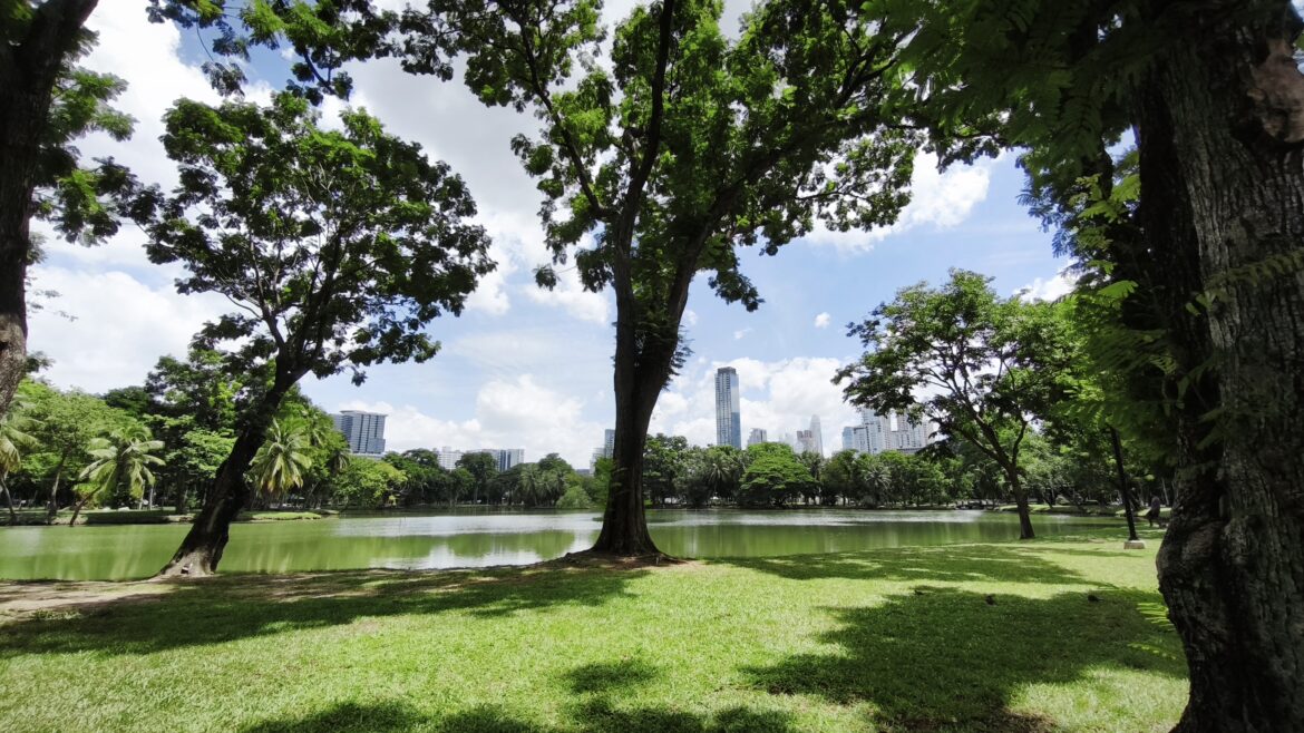 Bangkok in 4 giorni Lumpini Park